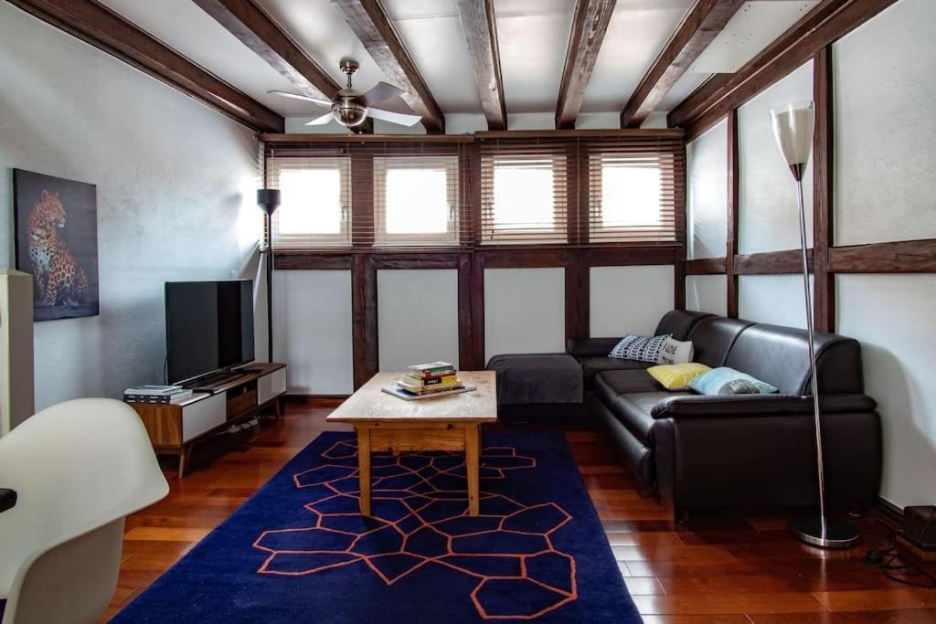 L'Or - Typical Alsacian Apartment In Strasbourg Eksteriør bilde